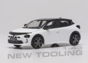 Lancia Ypsilon Blanc et Noir Blanc et noir 1/43
