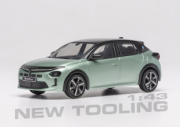 Lancia Ypsilon Vert et noir Vert et noir 1/43