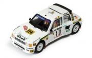 Peugeot 205 T16 Rallye Monte Carlo  1/43