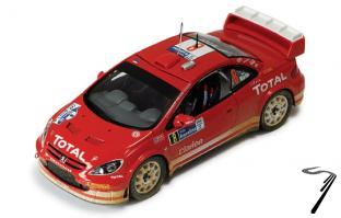 Peugeot 307 Argentina Rally with dirty effect  1/43