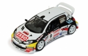 Peugeot 206 Rallye d'Ypres  1/43