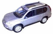 Nissan . Gris 1/43