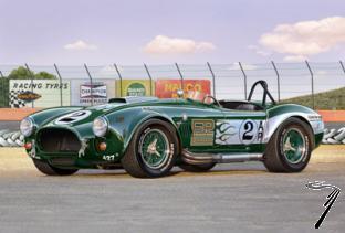 Cobra Shelby 427 S/C  1/24