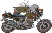Kawasaki 88007 - 750 H2 Cote Medson  1/18