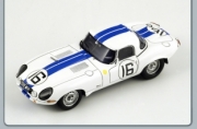 Jaguar E Cunningham #16 - 24h Le Mans   1/43