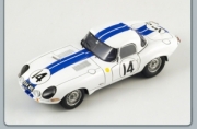 Jaguar Type E Cunningham #14 24h Le Mans  1/43