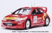 Peugeot 206 Rallye Turquie  1/18