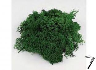 Divers . Mousse verte 25 Gr. autre