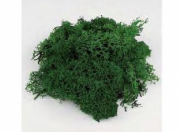 Divers . Mousse verte 25 Gr. autre