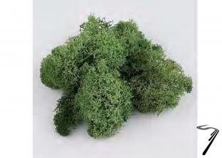 Divers . Mousse vert clair 25 Gr. autre