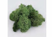 Divers . Mousse vert clair 25 Gr. autre