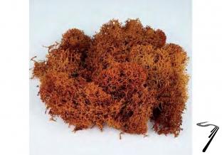 Divers . Mousse marron 25 Gr. autre