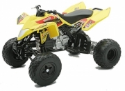 Suzuki R 450 Makita couleurs variables  1/12
