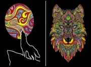 Divers . Loup - Pochette A4 - 12 feutres inclus - 36 x 26 x 1,8 cm - &agrave; colorier autre