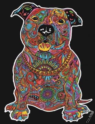 Divers . Spike - crayons inclus - 47 x 35 cm - � colorier autre