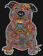 Divers . Spike - crayons inclus - 47 x 35 cm - &agrave; colorier autre