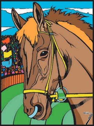 Divers . Cheval - 12 feutres inclus - 28 x 37 cm - � colorier autre
